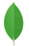 MongoDB